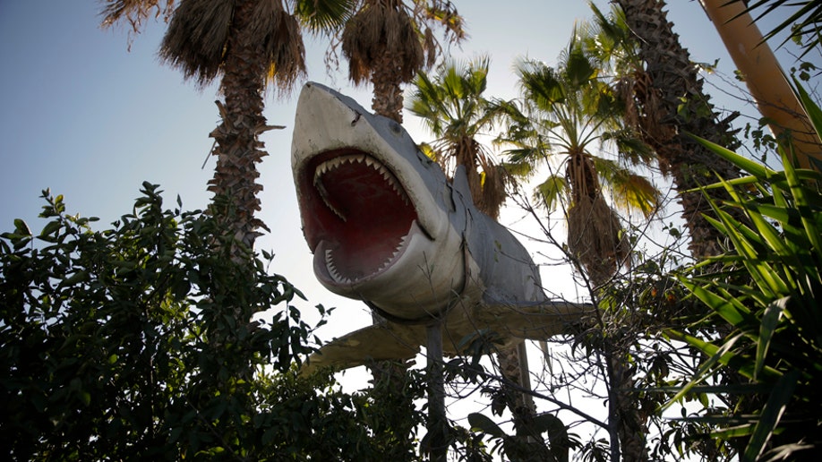 APTOPIX Last Great Junkyard