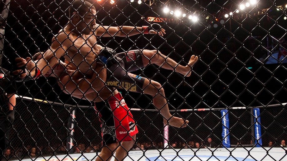 a41502f1-Brazil UFC 142