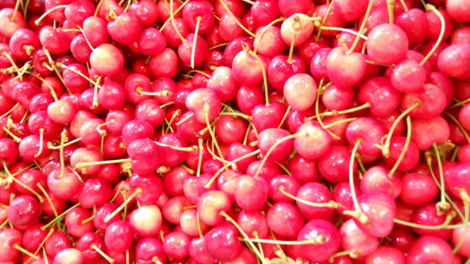 Cherry_Trip_2010_047