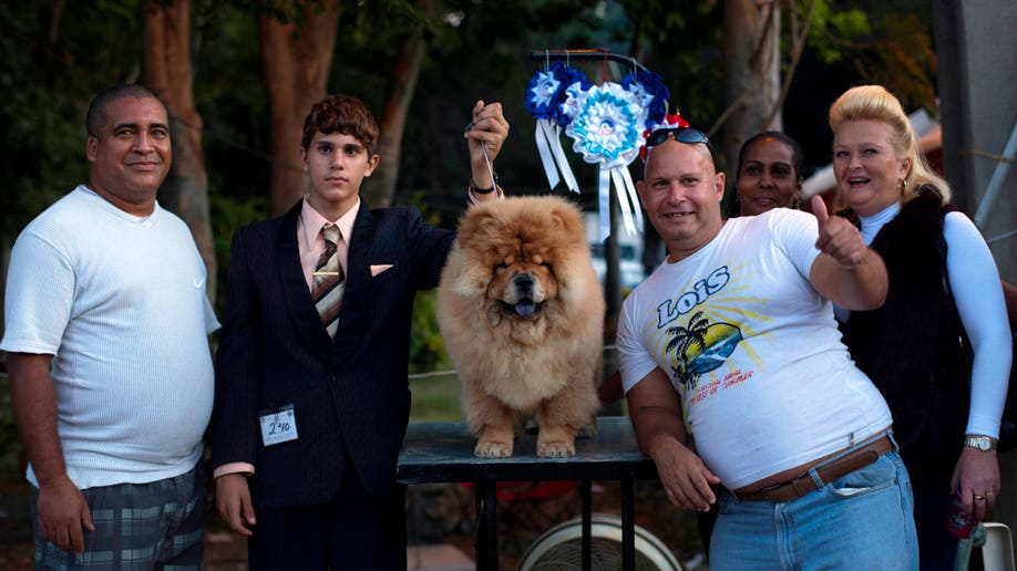 a4010723-Cuba Dog Show