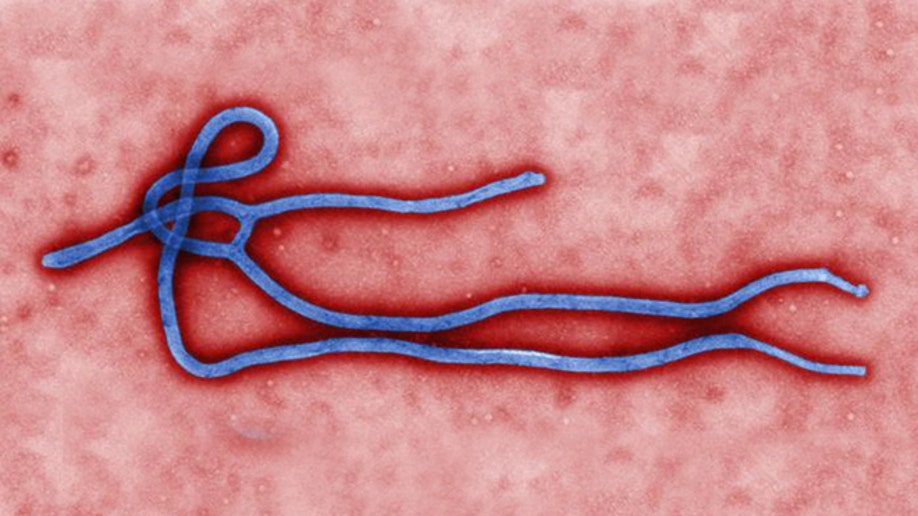d7610b0c-Ebola Preparedness