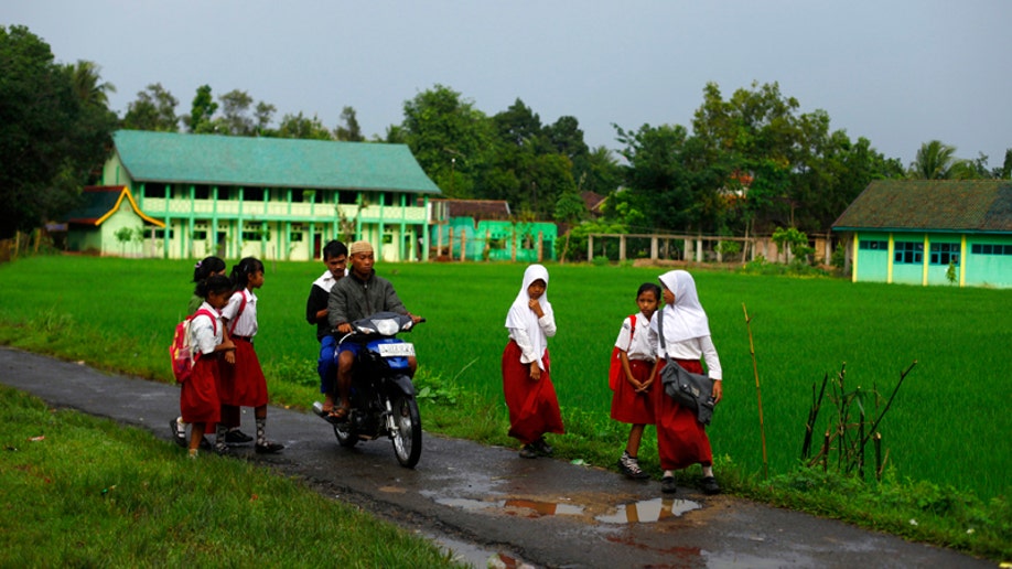 Indonesia_Bridge__3_