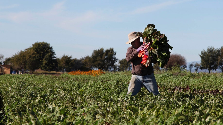 Farmworkers to Organic Farmers