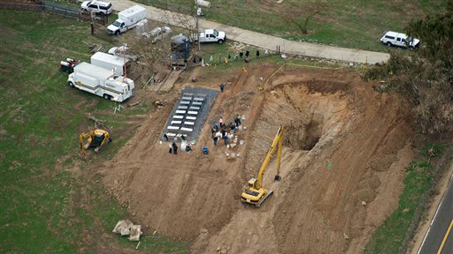 cea6bbac-Speed Freak Killers