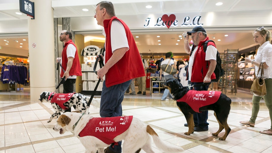 2f4f6c48-Pets Airport Therapy Dogs