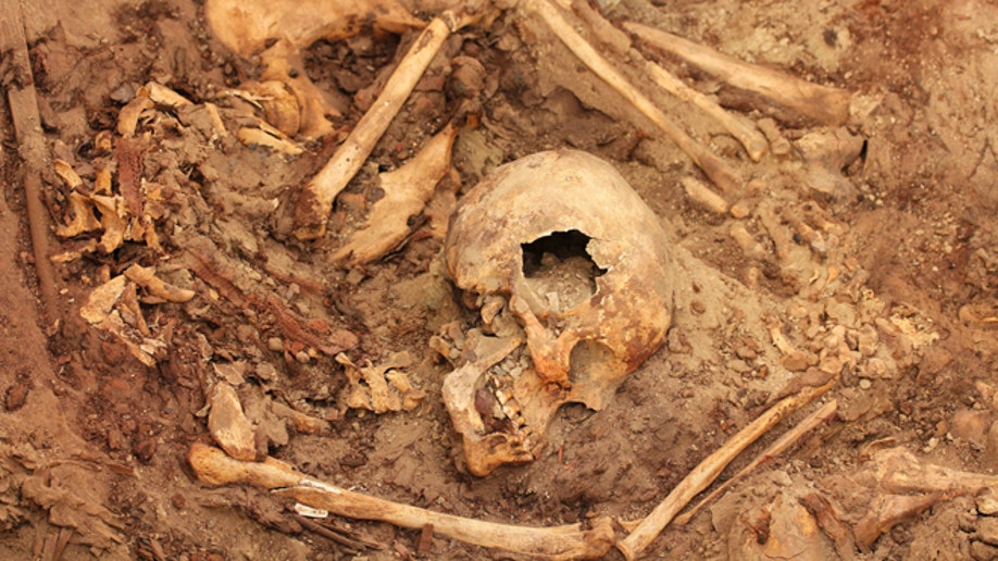 2dd8e9e6-Peru Archaeological Find