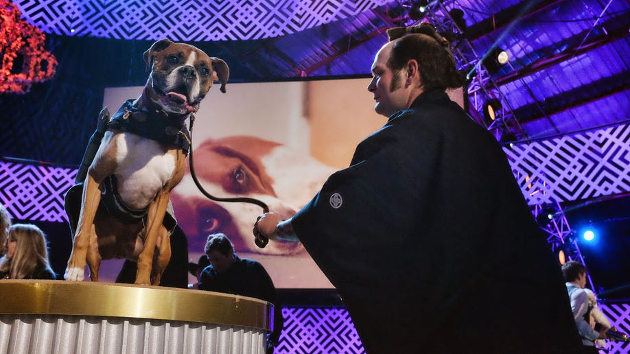 1d2c5907-Pets-World Dog Awards