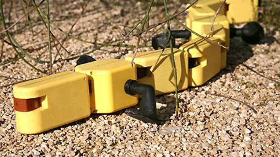 Robot Salamander