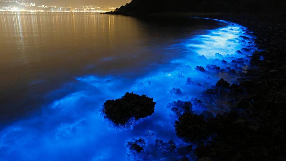 Beautiful, eerie fluorescent glow of Hong Kong seas indicates harmful ...