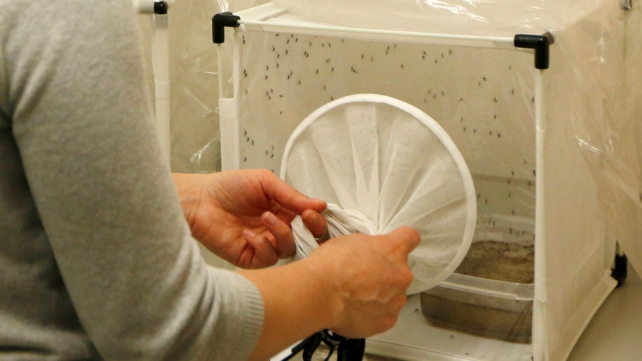 Britain Malaria Mosquito