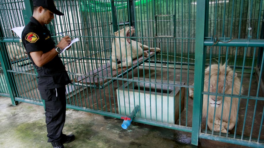 9e775b8e-Thailand Wildlife