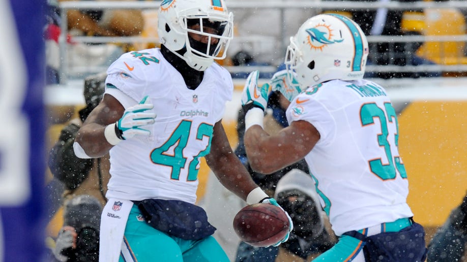 4b6d415e-Dolphins Steelers Football