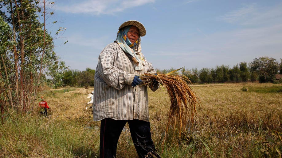 Thailand Politics Heartland