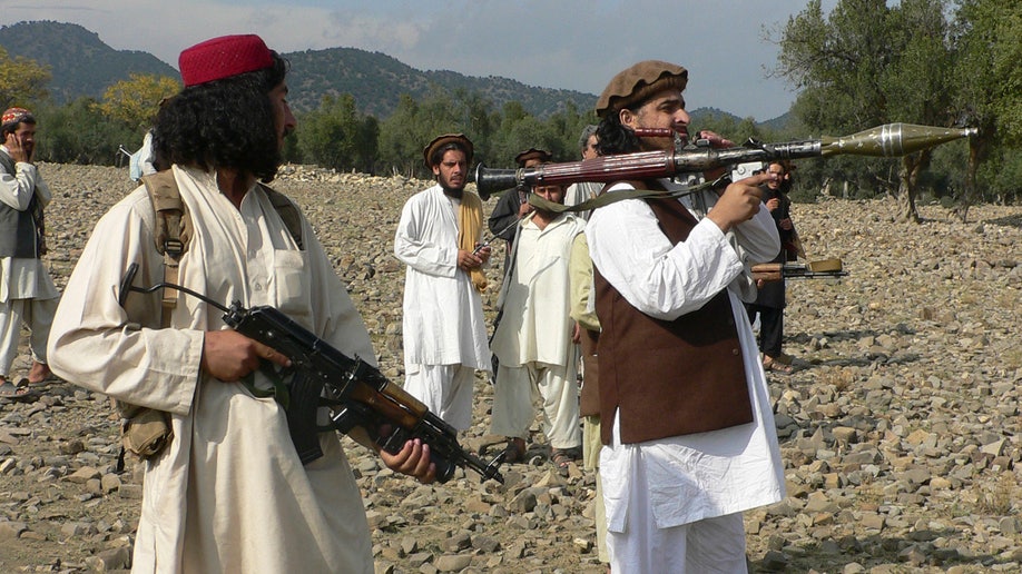 e96b8fdb-Pakistan Drone Strike