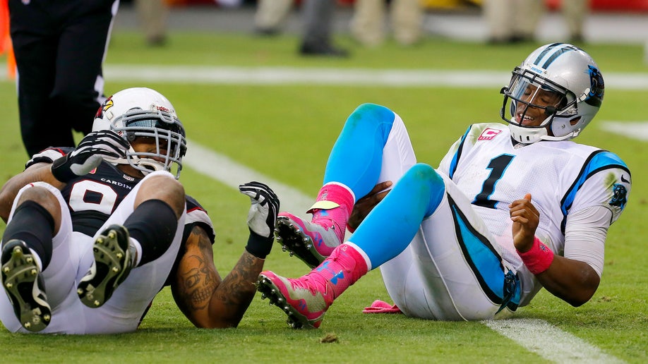 ac660a0b-Panthers Cardinals Football