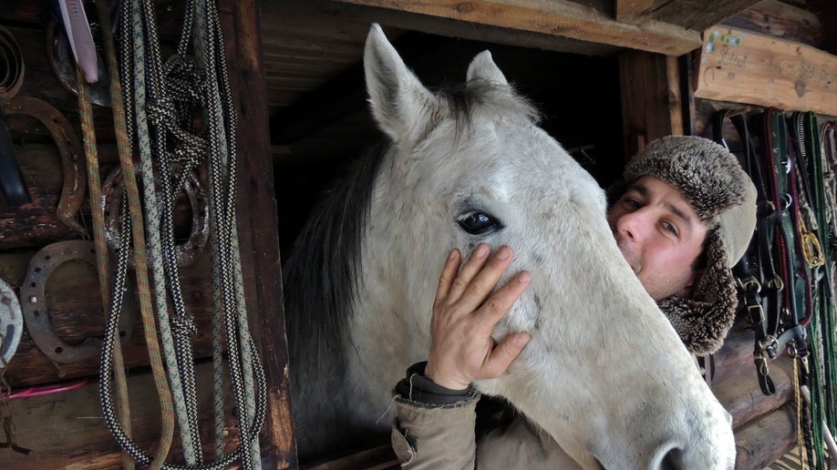 37addb3f-Romania The Horse Rescuer