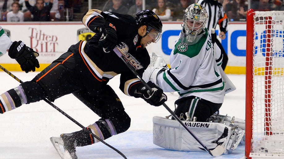 0a31053a-Stars Ducks Hockey