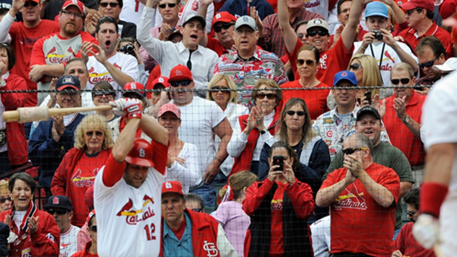 ad811abf-CACHORROS-CARDENALES