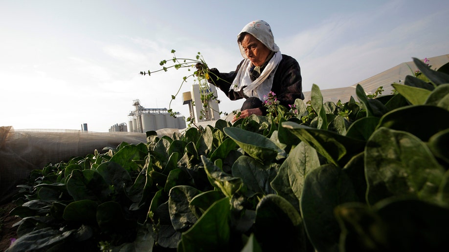 b136c808-Japan Earthquake