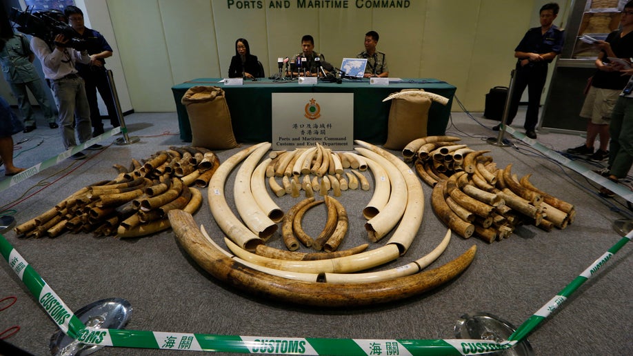 35b3c7ec-Hong Kong Ivory Cache
