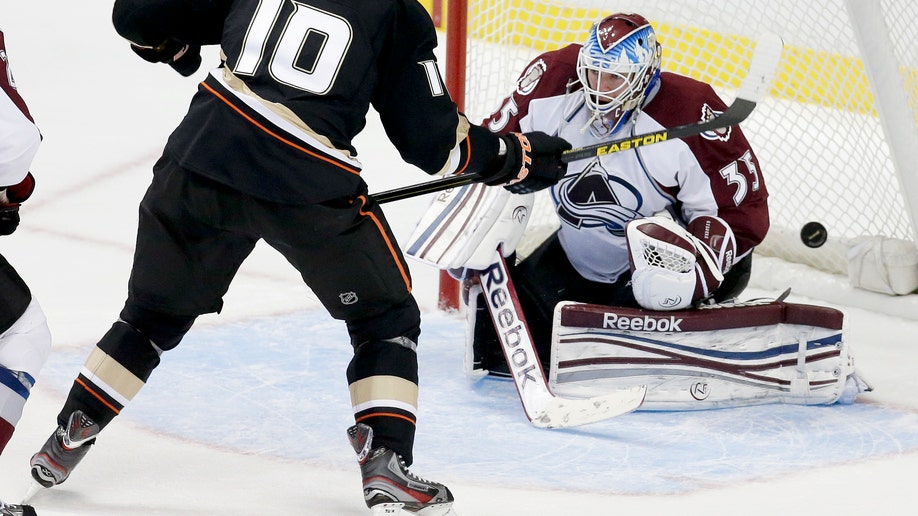 Avalanche Ducks Hockey