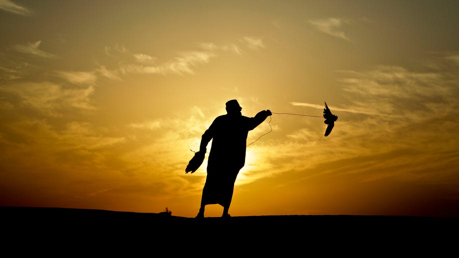 APTOPIX Mideast Emirates Falconry