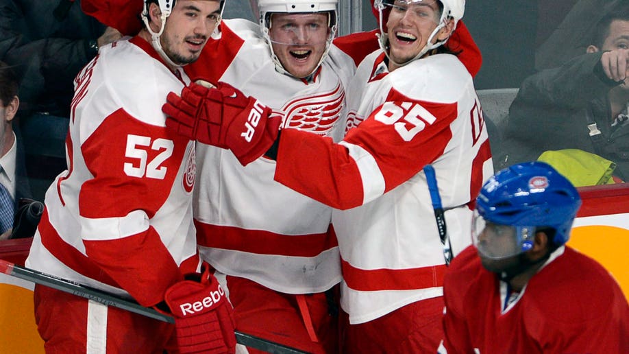 Red Wings Canadiens Hockey