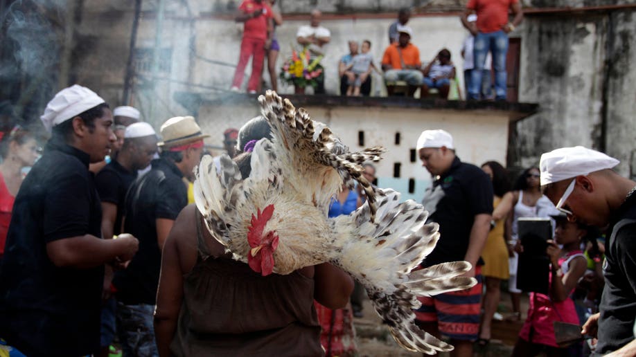 dafd1672-Cuba Santeria New Year