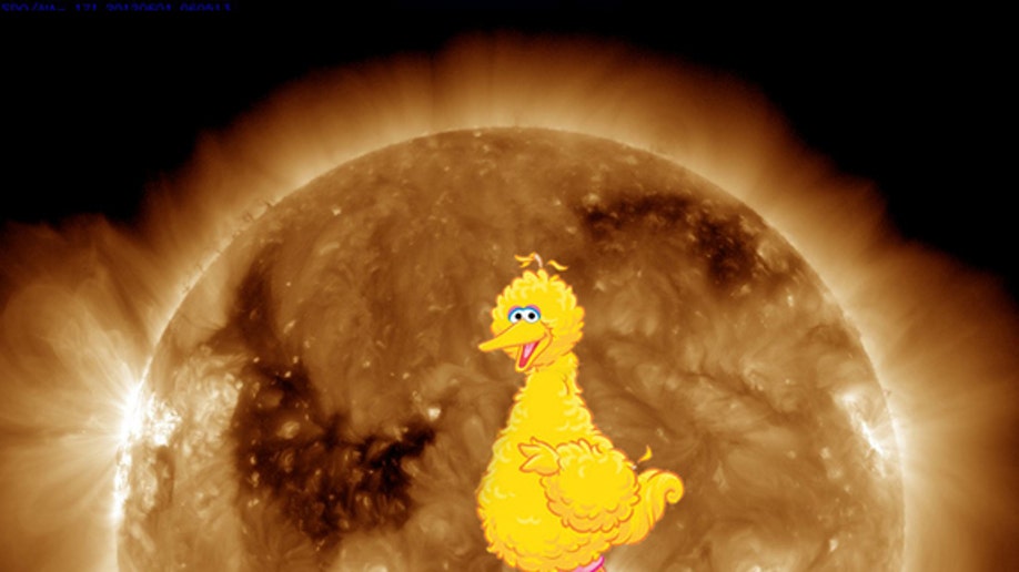 Big Bird' on the Sun Spotted in Spacecraft Photo | Fox News
