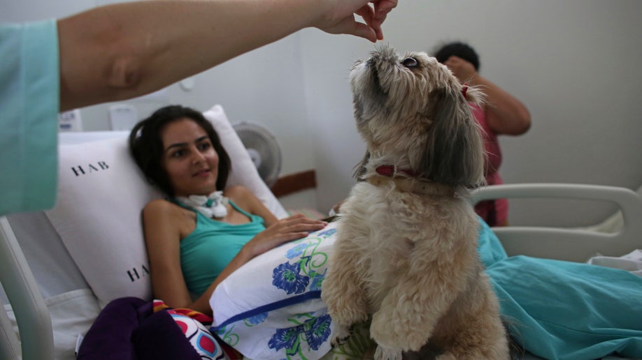 brazil therapy dogs 1 AP