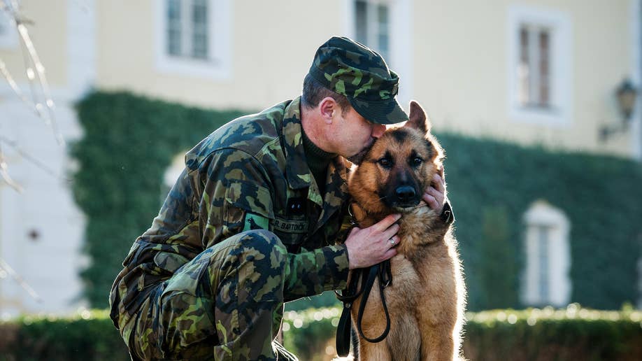 Czech Afghanistan Army Dog Award