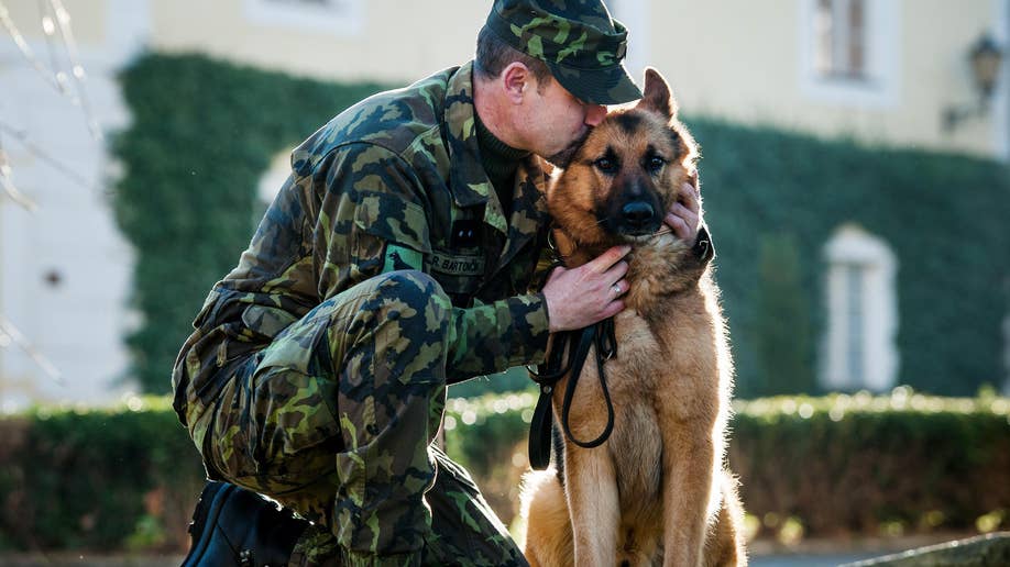 Czech Afghanistan Army Dog Award