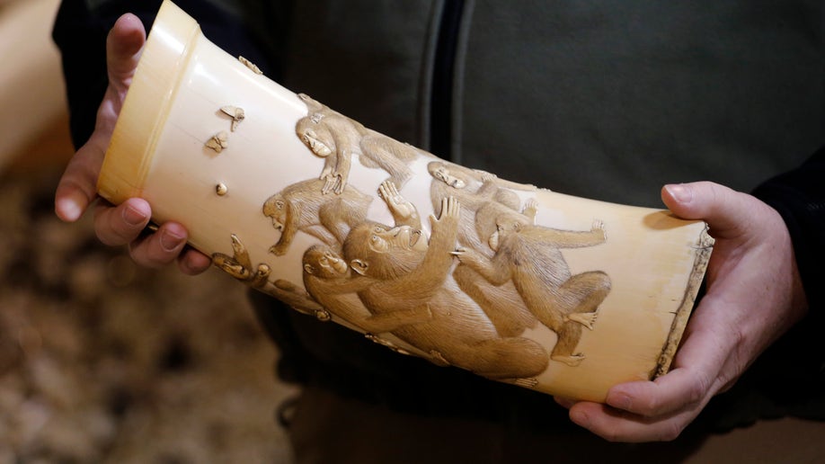 9a5f4885-Ivory Crush