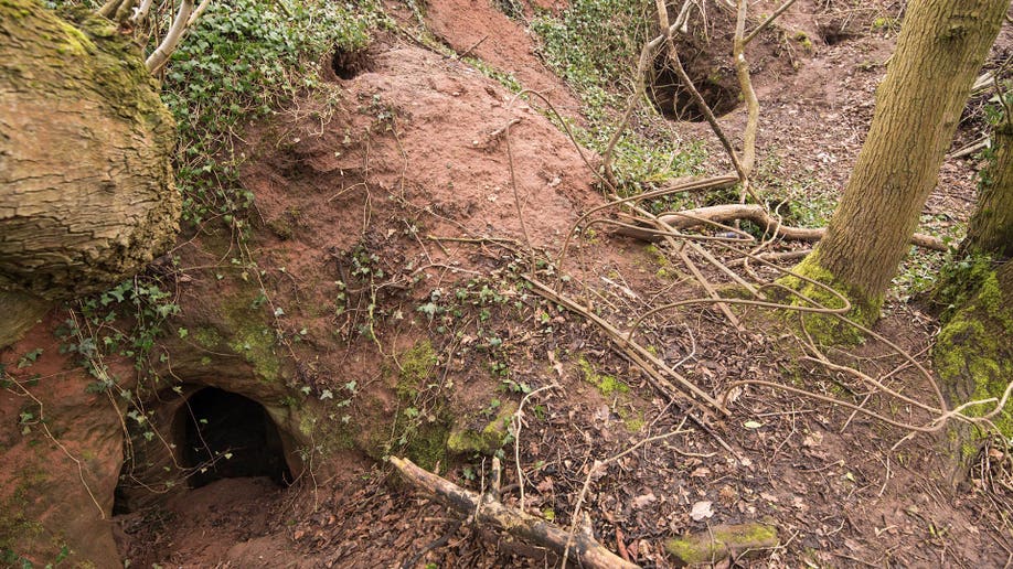 Rabbit hole