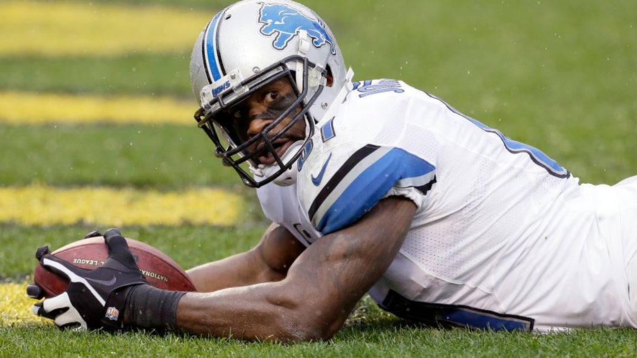 APTOPIX Lions Steelers Football