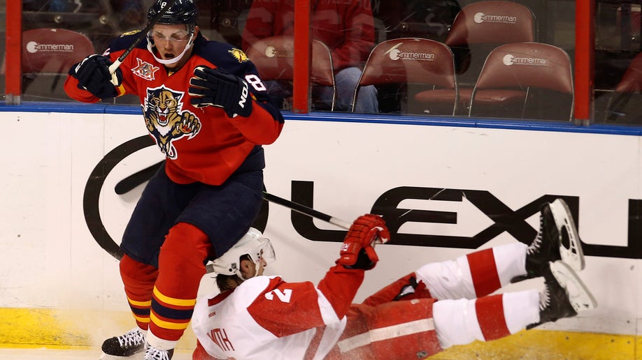 45ca282c-Red Wings Panthers Hockey