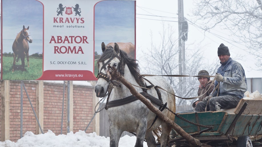Romania The Horse Rescuer