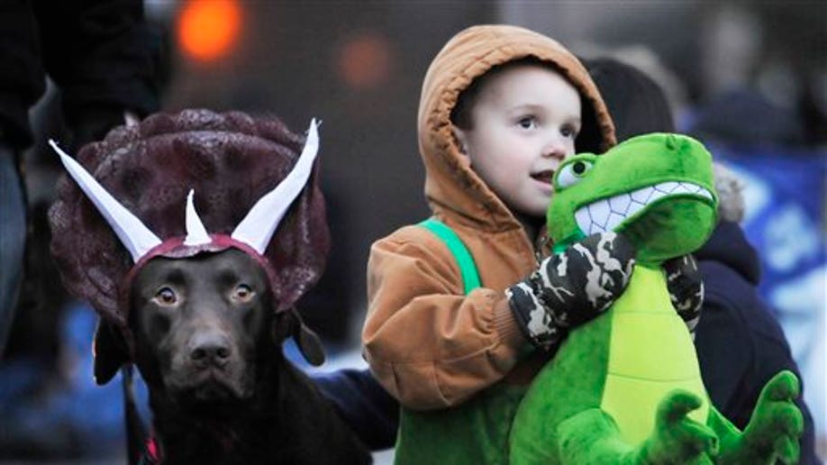 The Most Perfect Dog Halloween Costumes - CBS San Francisco