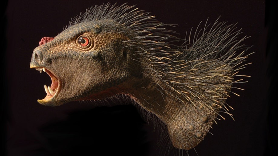 'Dracula' dinosaur had bristles and fangs | Fox News
