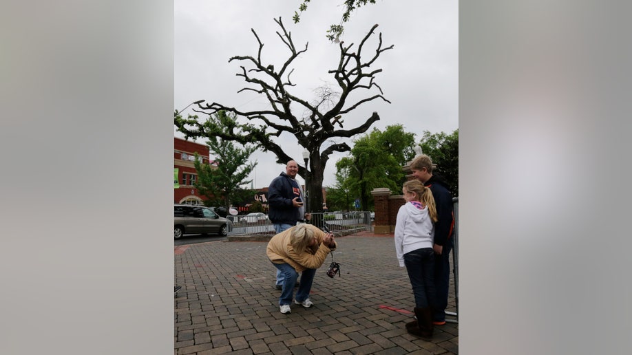 e4fed3dd-Auburn Toomers Corner Football