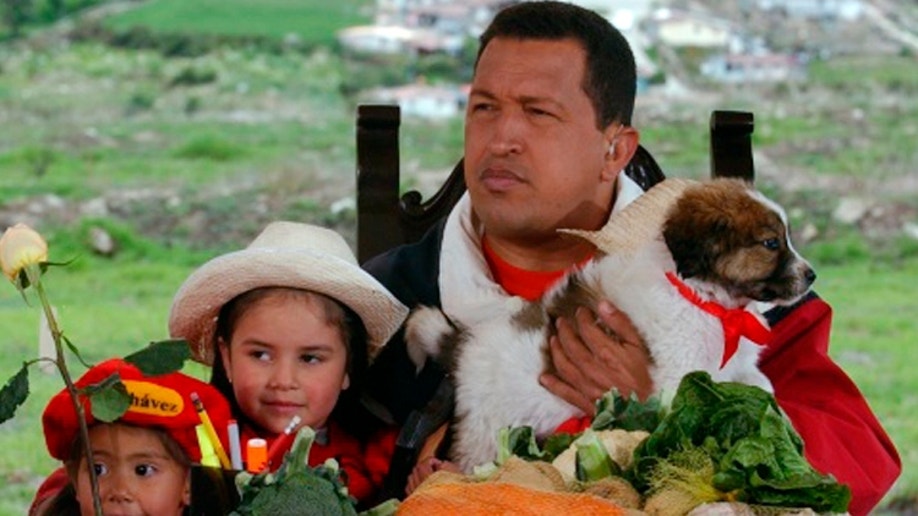 c3d17758-Venezuela Dogs of Chavez