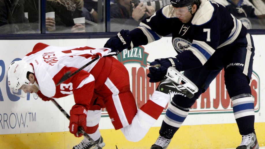 a6e3bebe-Red Wings Blue Jackets Hockey