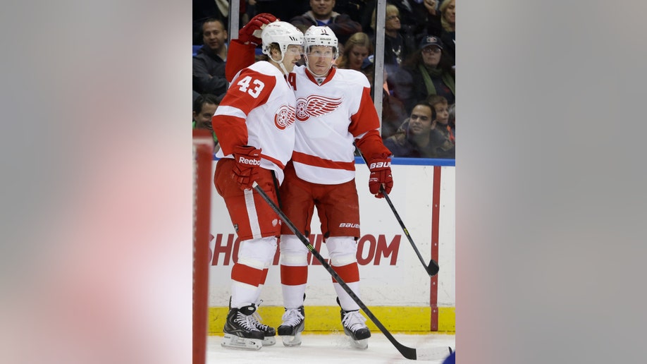 Red Wings Islanders Hockey