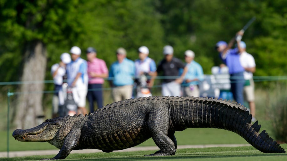 APTOPIX Zurich Classic Golf