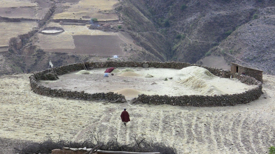 farmer_Bolivia_pic_5