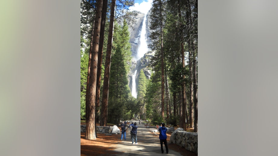 1e6b61f4-Travel-Trip-Yosemite for Beginners