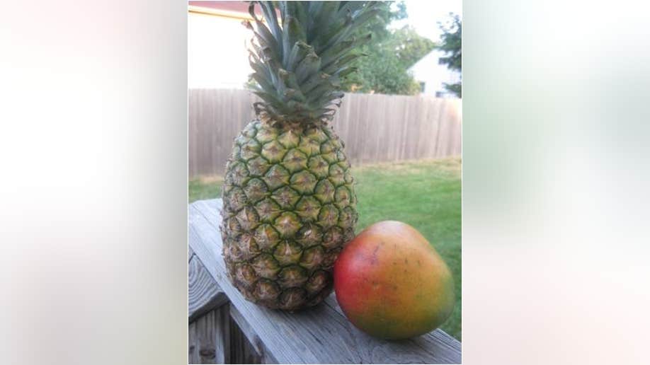 fruit_smoothie_1