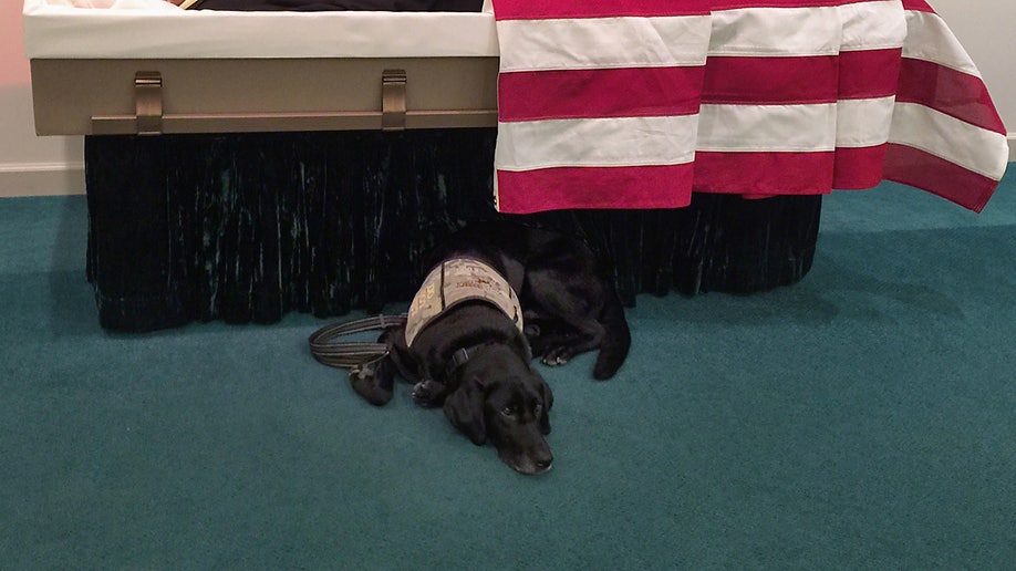 487749f6-honor_funeral_dog