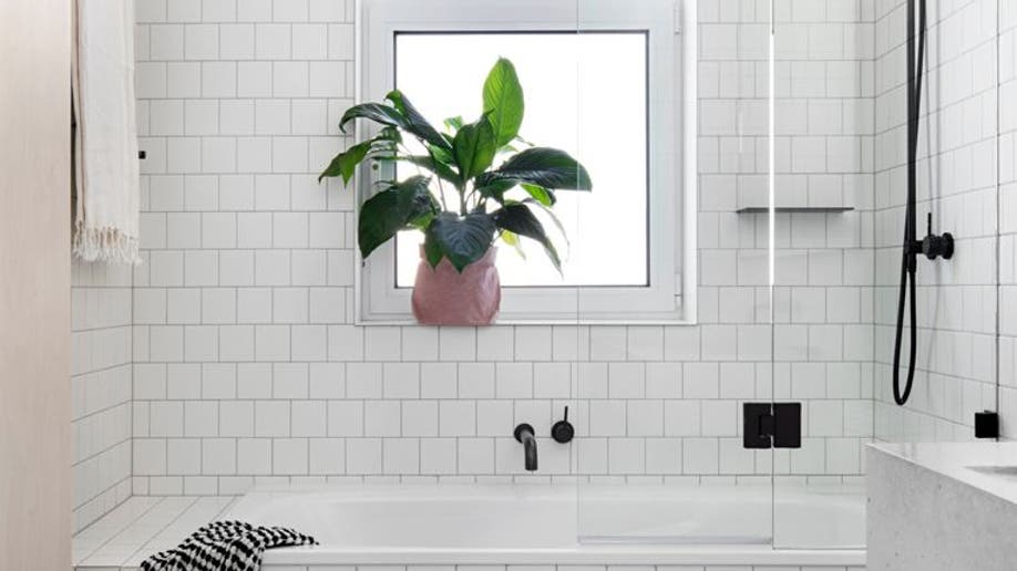 d7155111-Houzz_Houseplants2