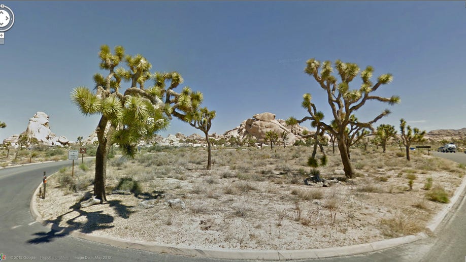 54761121-Google National Parks